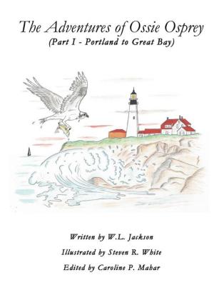 The Adventures Of Ossie Osprey