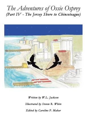 The Adventures of Ossie Osprey - (Part IV - The Jersey Shore to Chincoteague)