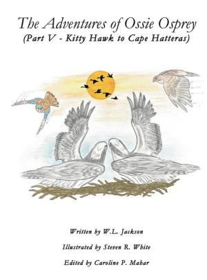 The Adventures of Ossie Osprey - (Part V - Currituck to Cape Hatteras)