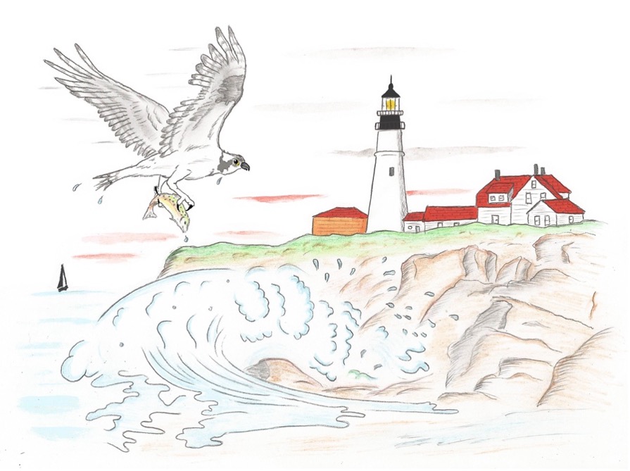 "The Adventures of Ossie Osprey," by W.L. Jackson