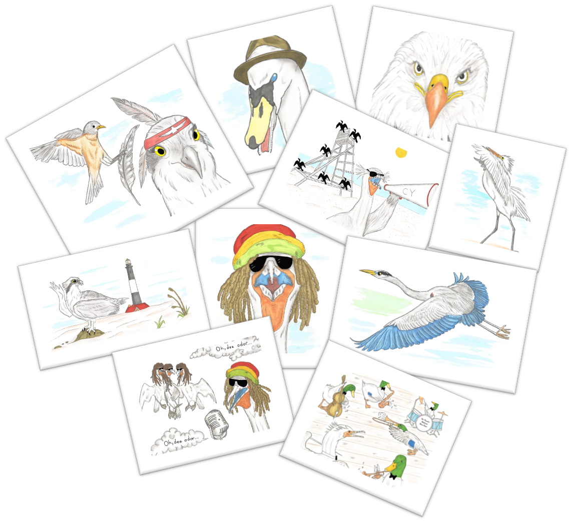 Meet the Birds in the Children's Books & Audiobook, "The Adventures of Ossie Osprey"