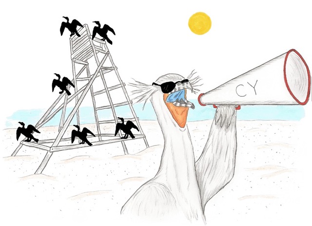 Cy Cormorant and The Cormorants